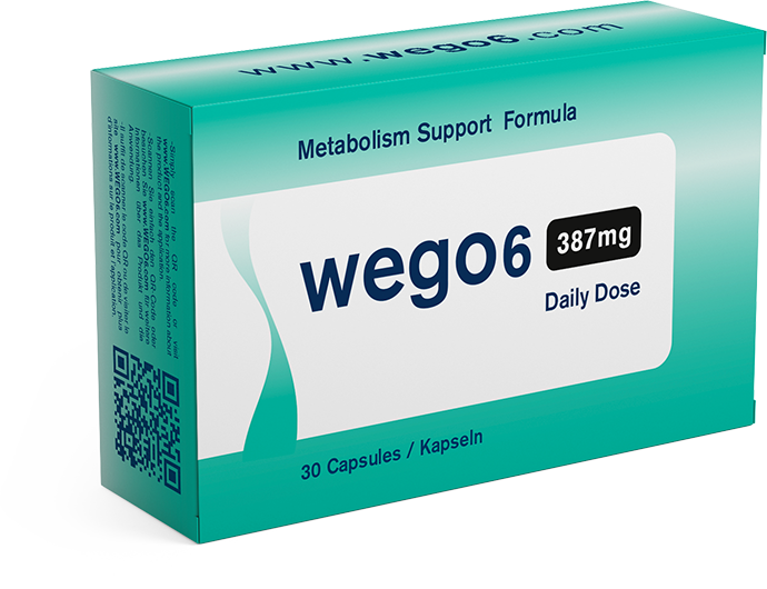 WEGO6 Produktverpackung